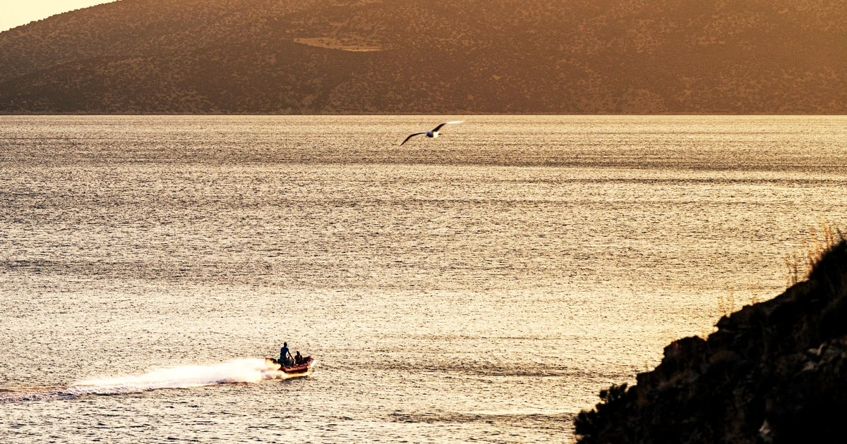 A gull over the silvered Aegean at golden hour, a small boat crossing below and a bare headland beyond, Greece